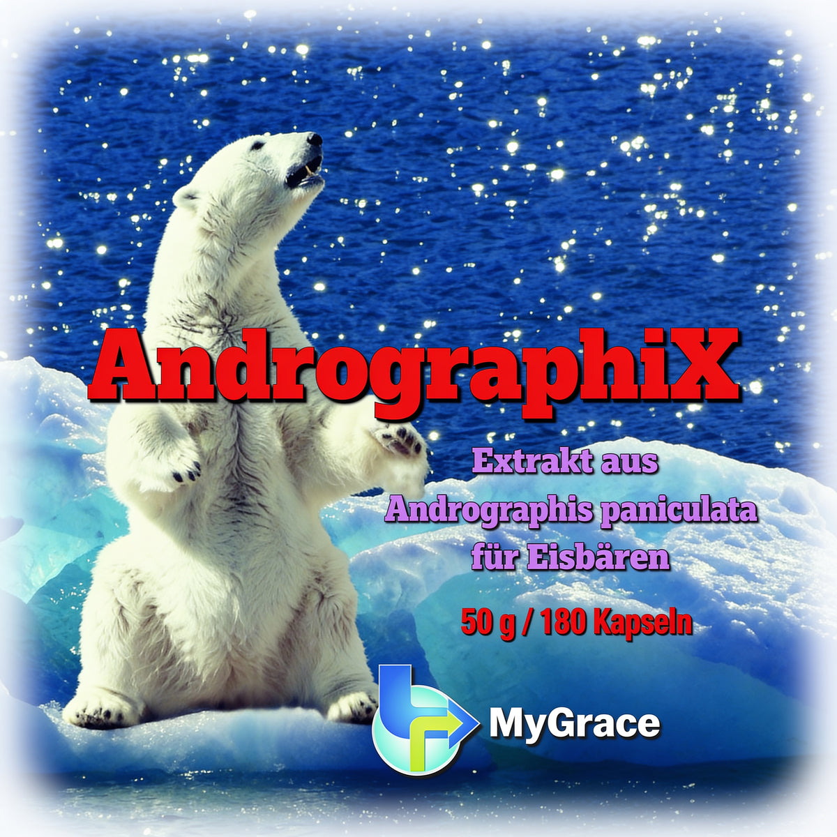 AndrographiX für Eisbären 180 Kapseln 100 mg