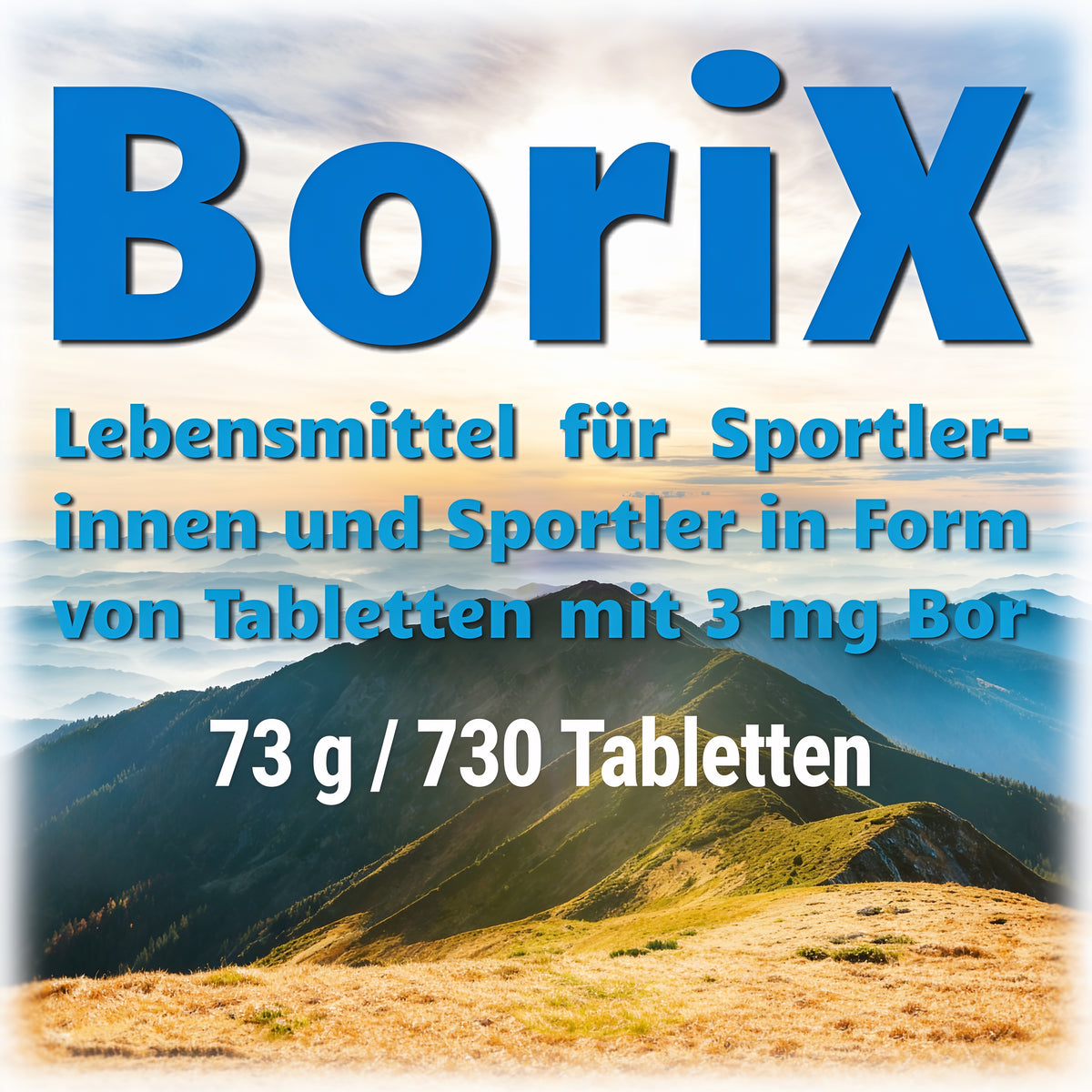 BoriX - 3 mg Bor 730 Tabletten