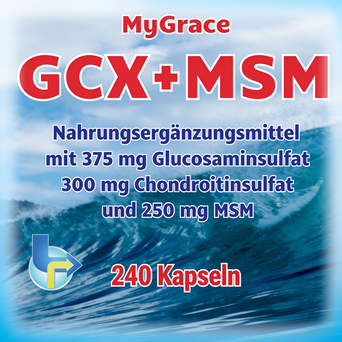 Glucosamin + Chondroitin + MSM 4 Monats-Pack (2 Dosen)